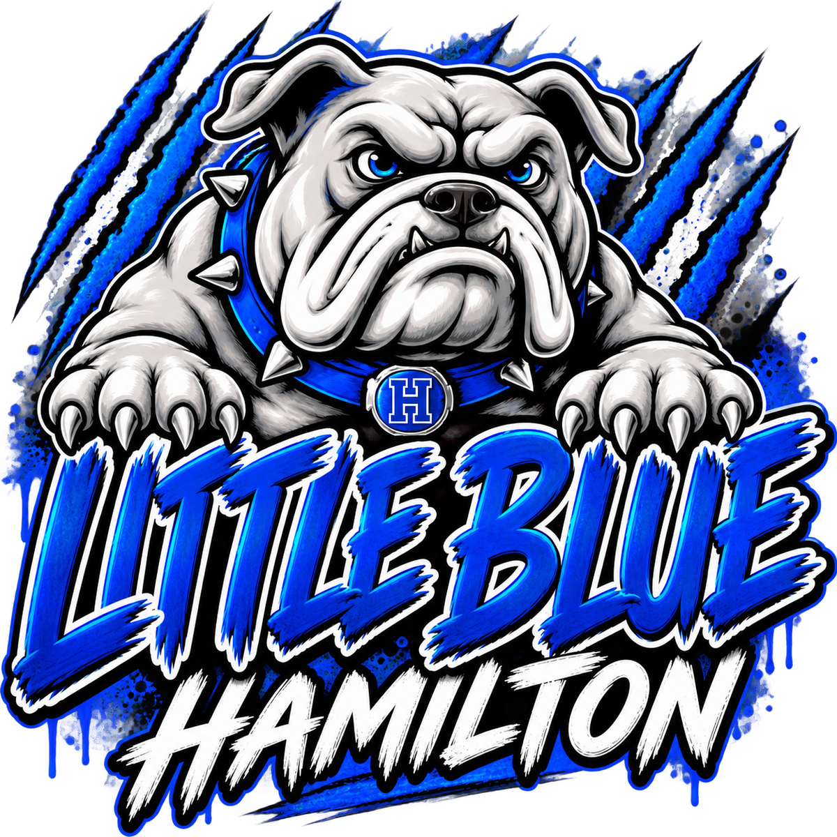 Hamilton Little Blue Image 8