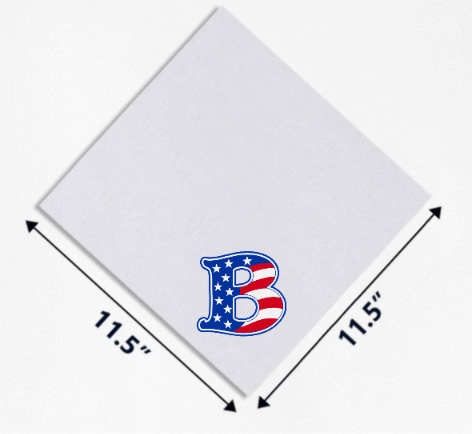USA Rally Towel