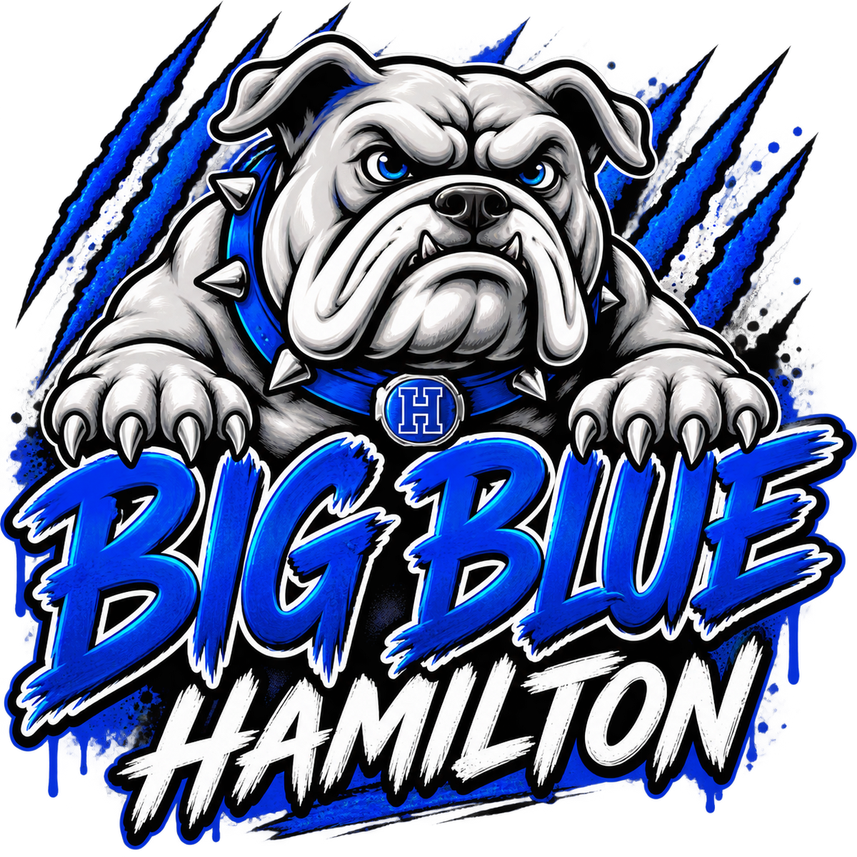HBB Image 1